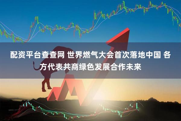 配资平台查查网 世界燃气大会首次落地中国 各方代表共商绿色发展合作未来
