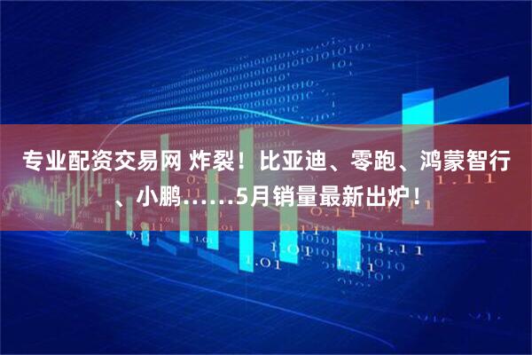专业配资交易网 炸裂！比亚迪、零跑、鸿蒙智行、小鹏……5月销量最新出炉！