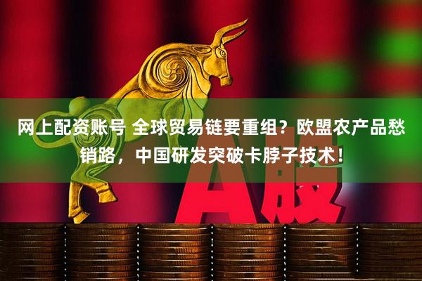 网上配资账号 全球贸易链要重组？欧盟农产品愁销路，中国研发突破卡脖子技术！