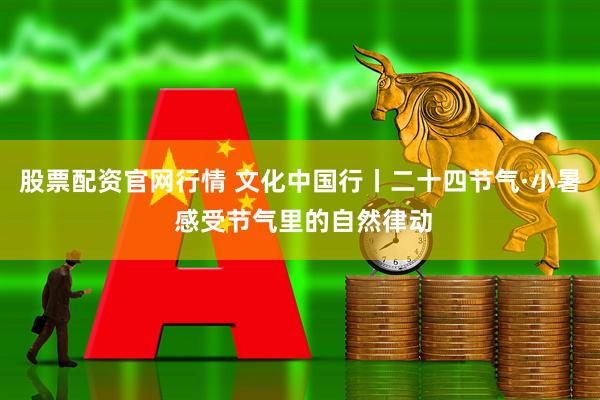 股票配资官网行情 文化中国行丨二十四节气·小暑 感受节气里的自然律动